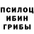 Галлюциногенные грибы Cubensis Bektur Shakirov
