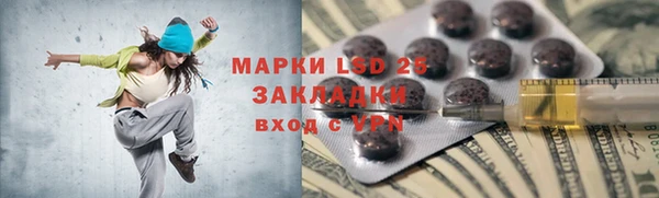 PSILOCYBIN Навашино