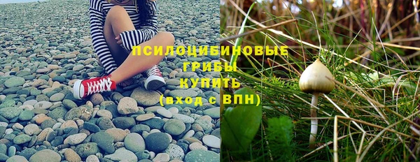 spice Киреевск